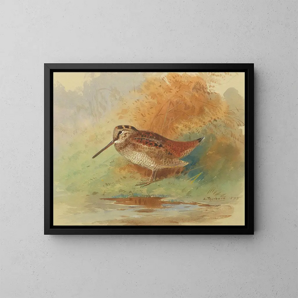 Bécasse au bord de l'eau - Archibald Thorburn — oprawiony obraz na ścianie