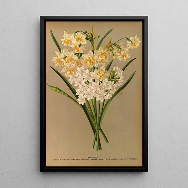 Reprodukcja obrazu Narcisse 2 - Arentina Hendrica Arendsen