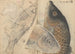Carnet de croquis Pl001 - Ariyoshi Kondo — widok dzieła