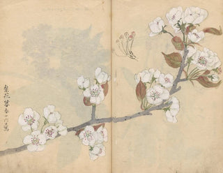 Ariyoshi Kondo - Sketchbook Pl006.webp
