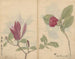 Carnet de croquis Pl008 - Ariyoshi Kondo — widok dzieła