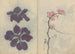 Carnet de croquis Pl009 - Ariyoshi Kondo — widok dzieła