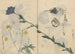 Carnet de croquis Pl013 - Ariyoshi Kondo — widok dzieła