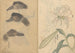Carnet de croquis Pl014 - Ariyoshi Kondo — widok dzieła