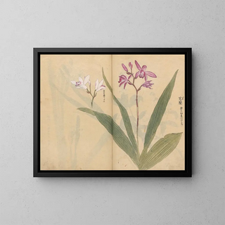 Ariyoshi Kondo - Sketchbook Pl015.webp