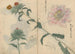 Carnet de croquis Pl019 - Ariyoshi Kondo — widok dzieła