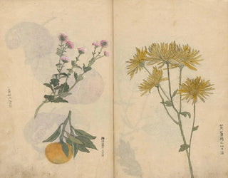 Ariyoshi Kondo - Sketchbook Pl027.webp