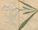 Carnet de croquis Pl031 - Ariyoshi Kondo — widok dzieła