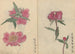 Carnet de croquis Pl032 - Ariyoshi Kondo — widok dzieła