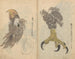 Carnet de croquis Pl035 - Ariyoshi Kondo — widok dzieła