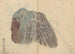 Carnet de croquis Pl039 - Ariyoshi Kondo — widok dzieła