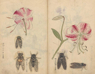 Ariyoshi Kondo - Sketchbook Pl044.webp