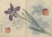Carnet de croquis Pl045 - Ariyoshi Kondo — widok dzieła