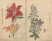 Carnet de croquis Pl046 - Ariyoshi Kondo — widok dzieła