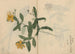 Carnet de croquis Pl052 - Ariyoshi Kondo — widok dzieła