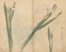 Carnet de croquis Pl058 - Ariyoshi Kondo — widok dzieła
