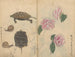 Carnet de croquis Pl060 - Ariyoshi Kondo — widok dzieła