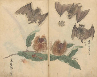 Ariyoshi Kondo - Sketchbook Pl064.webp
