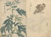 Carnet de croquis Pl070 - Ariyoshi Kondo — widok dzieła
