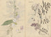 Carnet de croquis Pl072 - Ariyoshi Kondo — widok dzieła