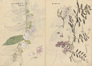 Ariyoshi Kondo - Sketchbook Pl072.webp