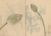 Carnet de Croquis Pl078 - Ariyoshi Kondo — widok dzieła