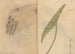 Carnet de croquis Pl084 - Ariyoshi Kondo — widok dzieła