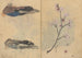 Carnet de croquis Pl086 - Ariyoshi Kondo — widok dzieła