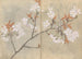 Carnet de croquis Pl088 - Ariyoshi Kondo — widok dzieła