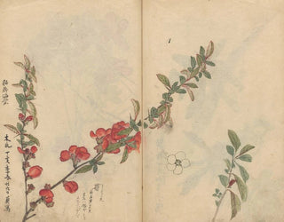 Ariyoshi Kondo - Sketchbook Pl090.webp