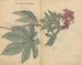 Carnet de croquis Pl095 - Ariyoshi Kondo — widok dzieła
