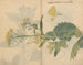 Carnet de croquis Pl099 - Ariyoshi Kondo — widok dzieła