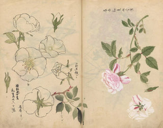 Ariyoshi Kondo - Sketchbook Pl107.webp