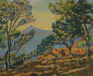 Armand Guillaumin - La Baie Dagay Et Le Smaphore.webp