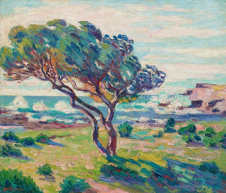 Armand Guillaumin - Paysage du midi vue du Brusc.webp
