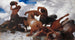 Bataille du Centaure - Arnold Böcklin — widok dzieła