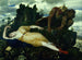 Diane śpiącej nadzorowanej przez dwóch faunów - Arnold Böcklin — widok dzieła