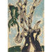 Reprodukcja obrazu Sycomore - Arthur Dove
