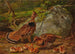 Gélinotte huppée - Arthur Fitzwilliam Tait — widok dzieła