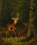 La forêt des Adirondacks - Arthur Fitzwilliam Tait — widok dzieła
