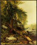 pejzażu Kaaterskill - Asher Brown Durand — widok dzieła