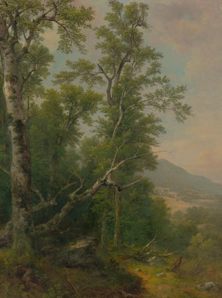 Asher Brown Durand - Study of Trees.webp