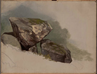 Studium skały - Asher Brown Durand — widok dzieła