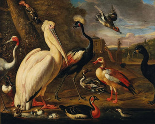 Associate of Melchior de Hondecoeter - A pelican and other birds by the water.webp