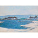 Reprodukcja obrazu Nad brzegiem fiordu w Christianii - Claude Monet