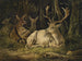 Daim - August Schleich — widok dzieła