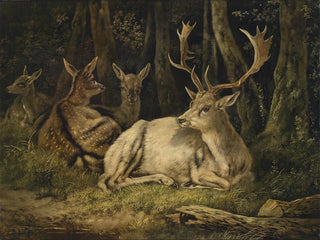 August Schleich - Dammwild.webp