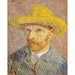 Reprodukcja obrazu autoportret z kapeluszem słomkowym - Vincent van Gogh