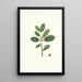 Reprodukcja obrazu Ilex paraguariensis, gałązka miniaturowa z białymi kwiatami - Aylmer Bourke Lambert