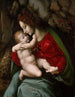 Matka Boża z Dzieciątkiem - Bacchiacca — widok dzieła